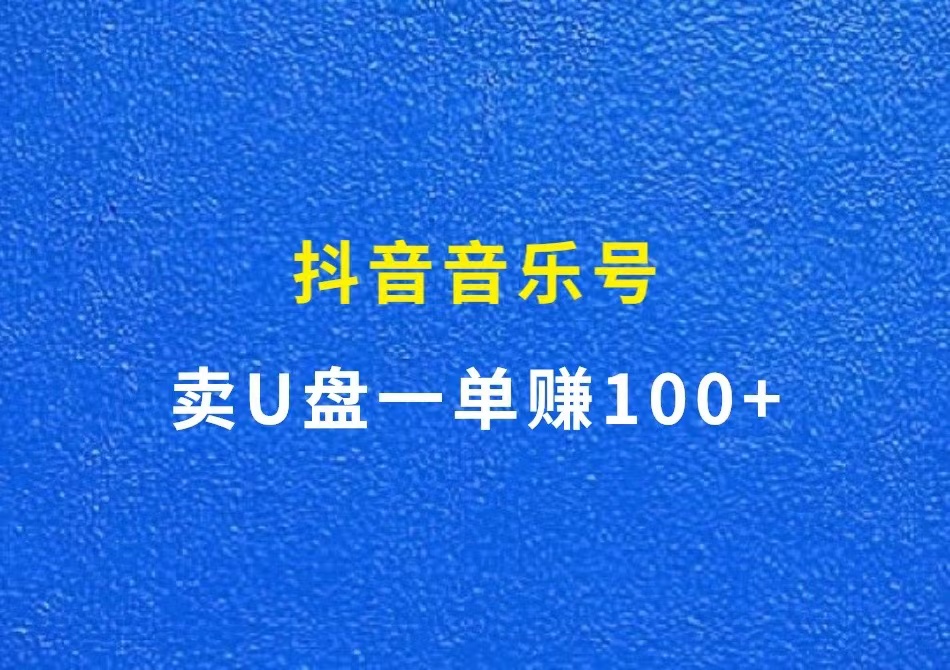 抖音音乐号，卖U盘一单赚100+
