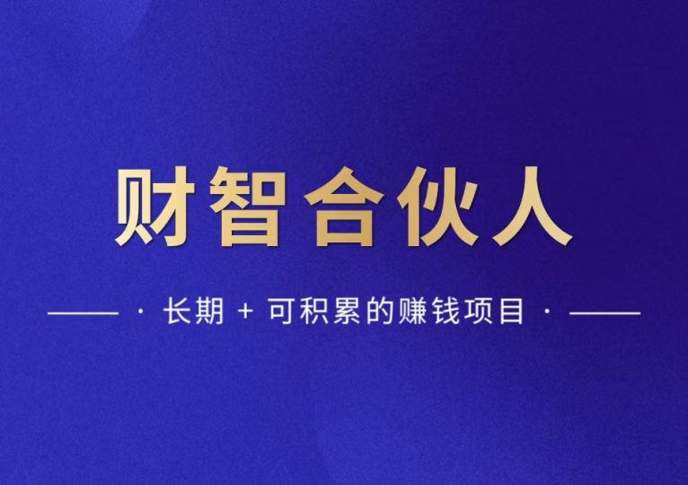 招募内测合伙人，一对一辅导搞钱，名额有限-财智副业社