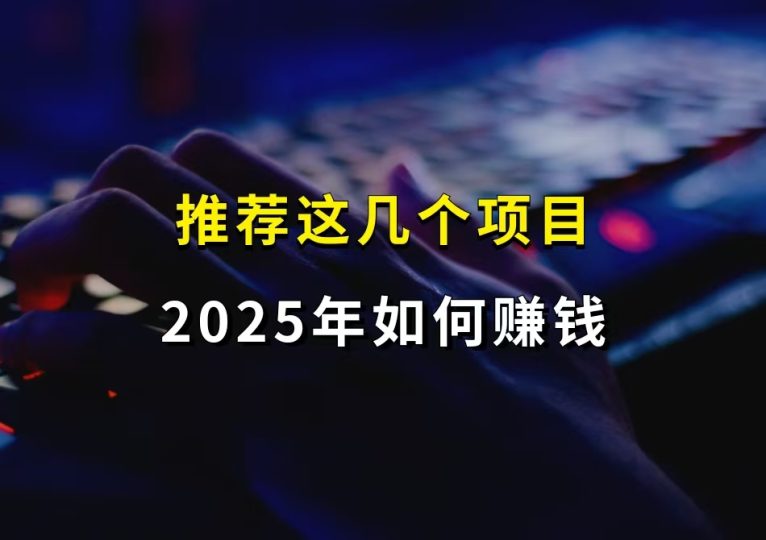 2025年，如何赚钱，推荐这几个项目-财智副业社